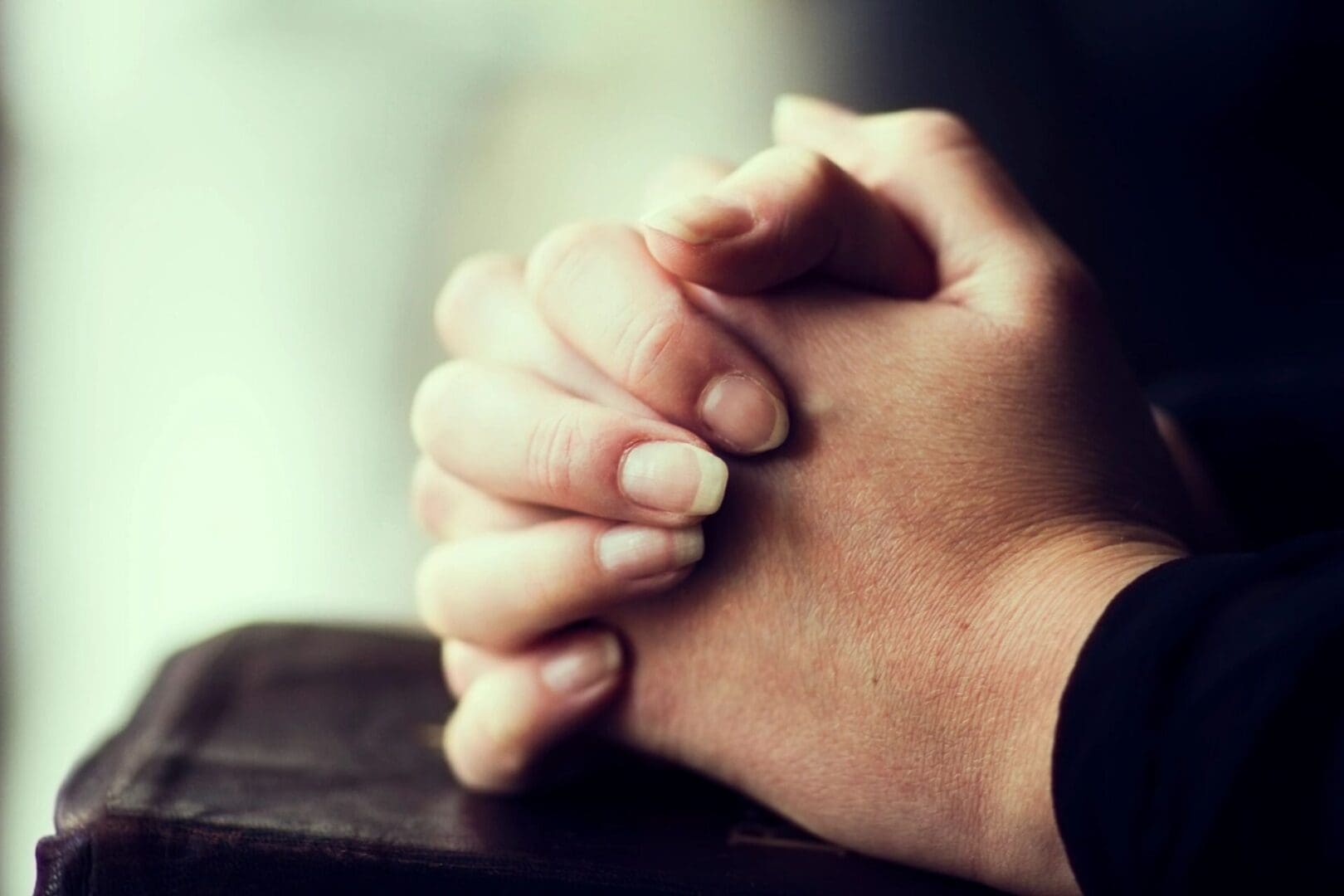 Hands clasped together in a gesture of prayer or contemplation.